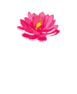 Lotus Thai